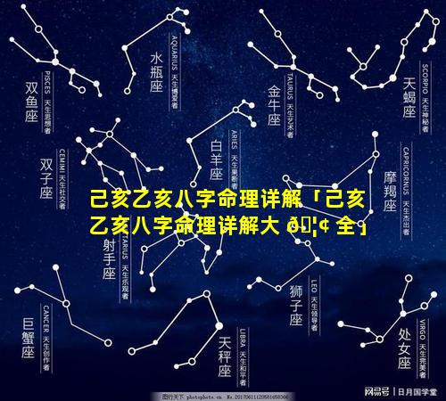 己亥乙亥八字命理详解「己亥乙亥八字命理详解大 🦢 全」